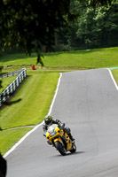 Middle Group Yellow Bikes